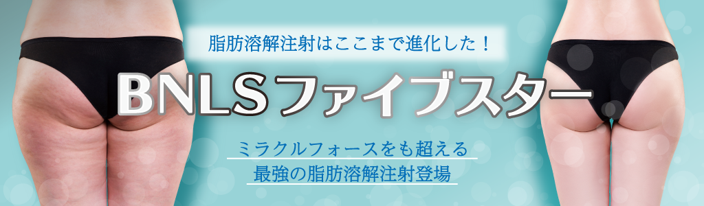 BNLSファイブスター